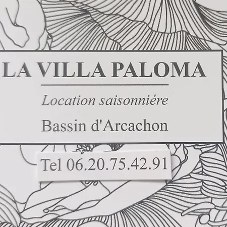 Paloma Climatisee, Avec Piscine Au Sel * Gujan-Mestras